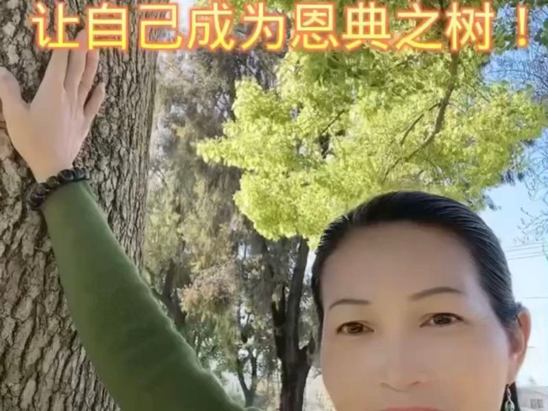 视频：4/20全环日食门户，让自己成为恩典之树！